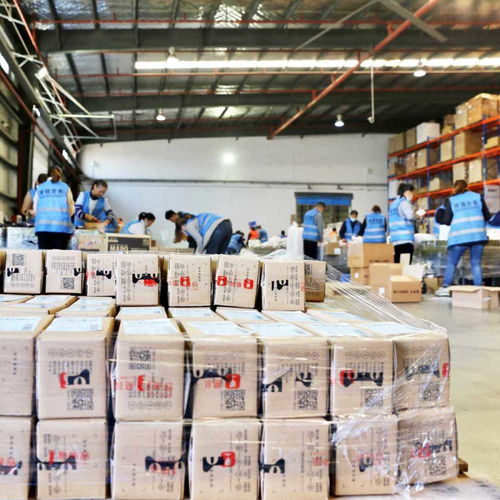 寧波都市區(qū)這樣建 甬臺舟三地行動方案干貨滿滿