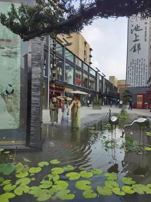 探訪成都荷花池 傳統(tǒng)貿(mào)易市場(chǎng)向現(xiàn)代消費(fèi)商圈轉(zhuǎn)型|了不起的我們